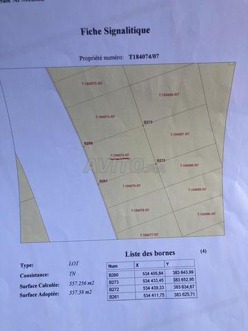 Terrains à vendre sur avenue principale - 2