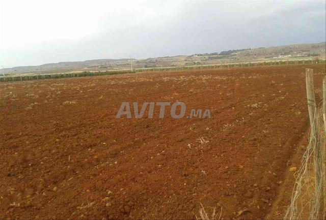 أرض فلاحية للبيع مسجلة و محفضة اولاد حريز