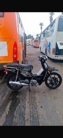 vente 33 pas cher - 2