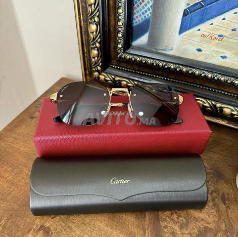 Lunettes Cartier Santos CT0459S