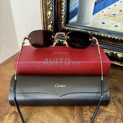 Lunettes Cartier Santos CT0459S - 2