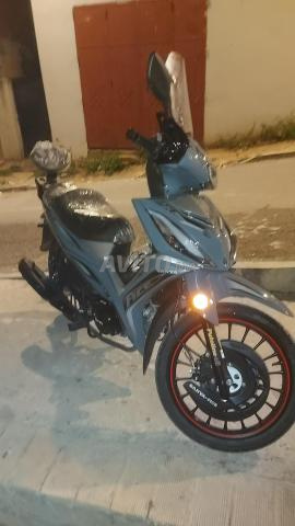Sania x1000 لا تزال في فترة الإحماء