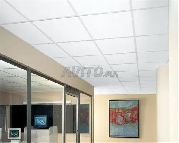 60M2 ARMSTRONG BIOPLAC//MOITIÉ PRIX