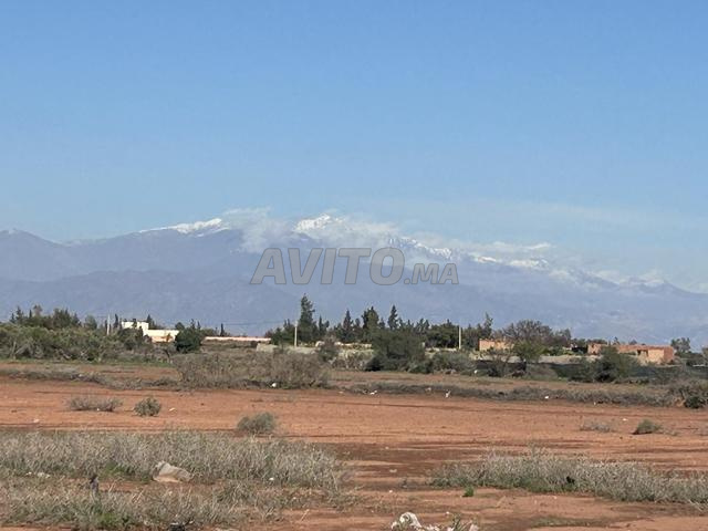 Terrain 1000 m2 sur goudron à Eddir - 2