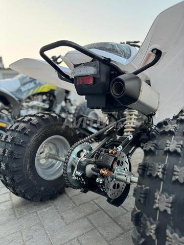 دراجة رباعية رابتور 300 سي سي ATV رياضية للطرق الوعرة