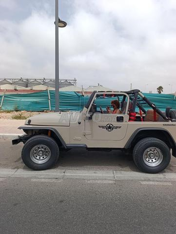 Jeep Wrangler Collection