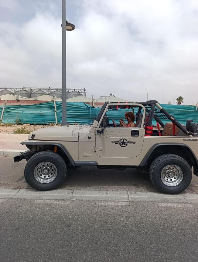 jeep wrangler collection 