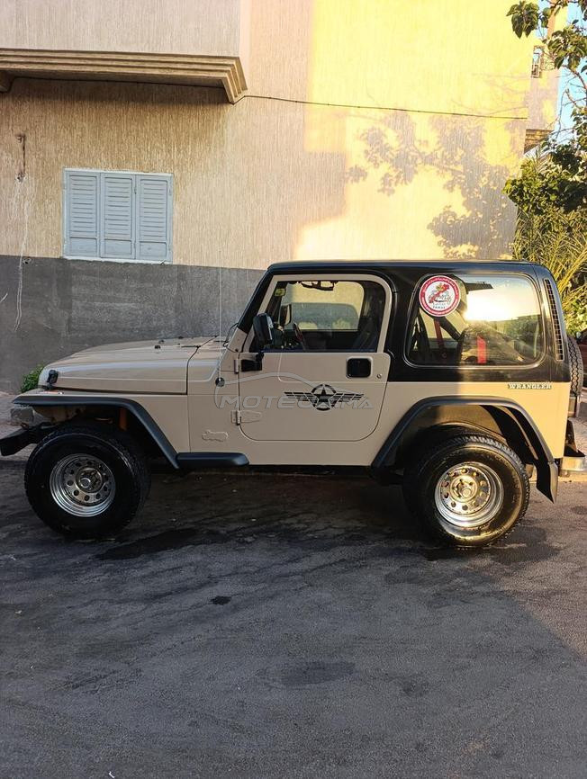 jeep wrangler collection 