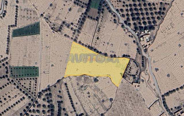 🏡 أرض للبيع في تامازووزت، مراكش 🏡