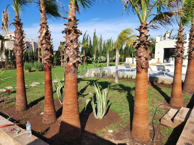 Villa à Essaouira avec piscine privée - 2