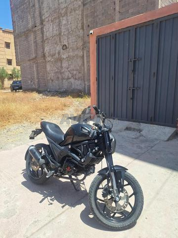 Cimatti Monster Evo2 - 2