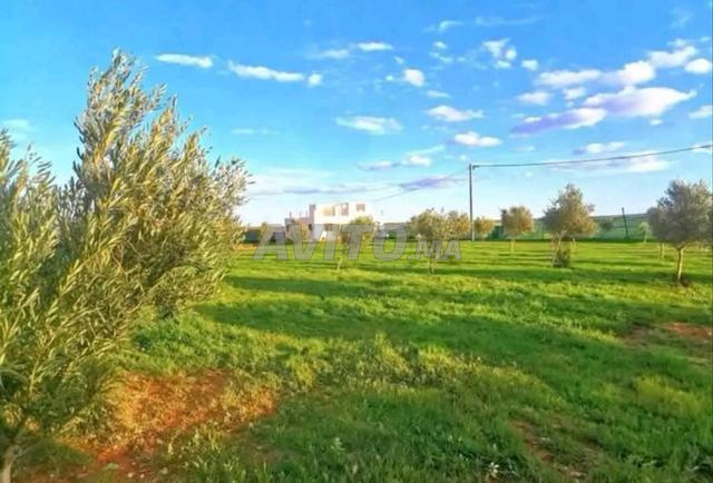 فيلا للتبادل بشقة - 2