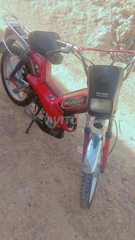 Moto