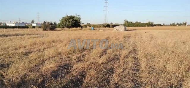 أرض فلاحية محفظة صالحة للبناء و الاستثمار - 2