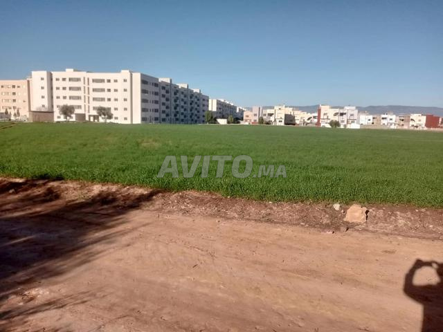 Terrains agricoles - 2