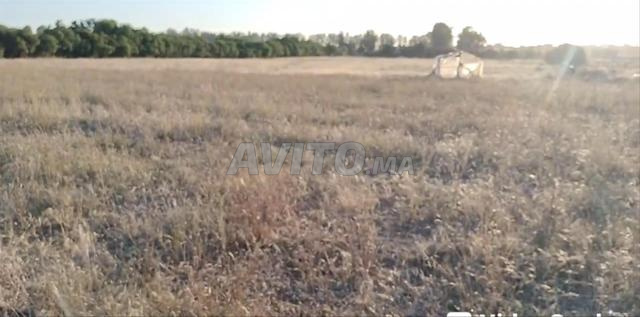 Terrain agricole enregistré pour investissement et construction - 2