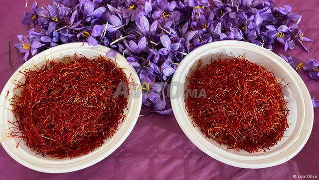 احصل على أفضل زعفران مغربي أصلي