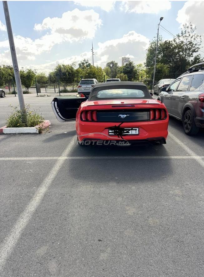 fourd mustang 