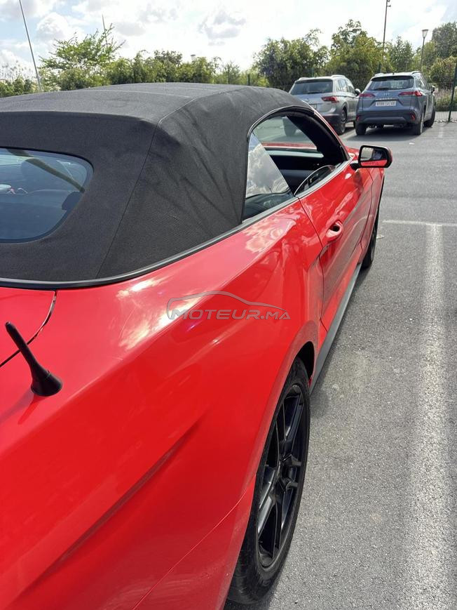 fourd mustang 