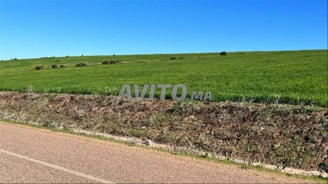 أرض فلاحية 3000م سند ملكية نواحي البير الجديد