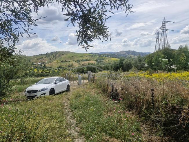 Volvo S60 Diesel Manuelle 2012 à Temara