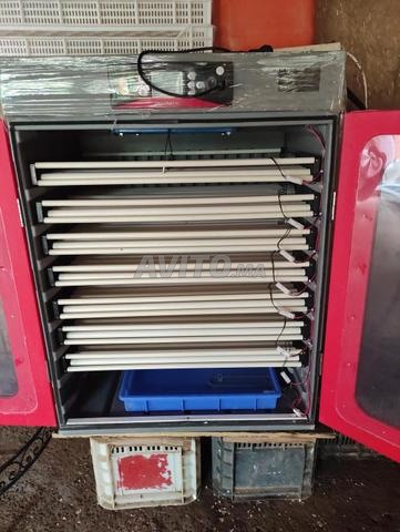 Incubateur d'œufs automatique original