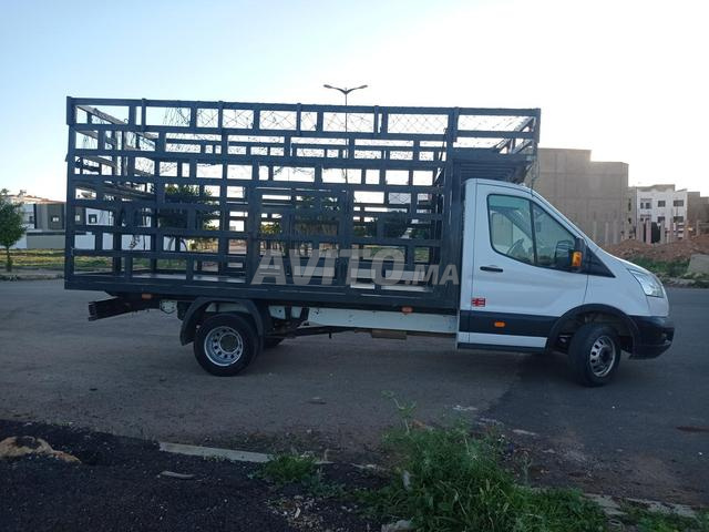 Ford Transit - 2
