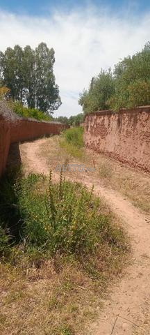 أرض للبيع مناطق مراكش - 2