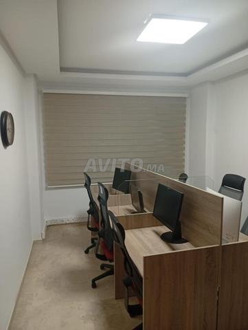 مارغريت 6 و 8 سعر خاص