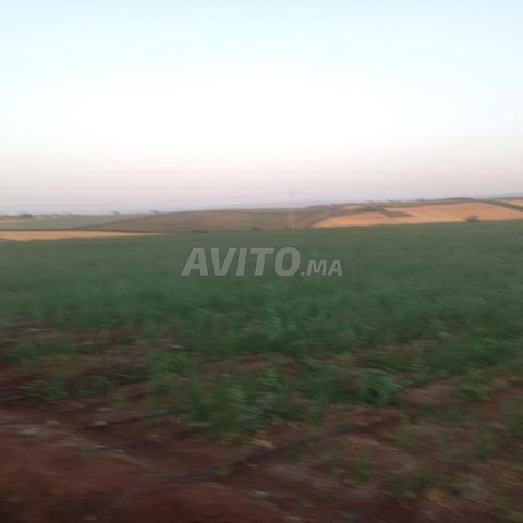 هكتاران مسجلان بين مكناس وبوفكران
