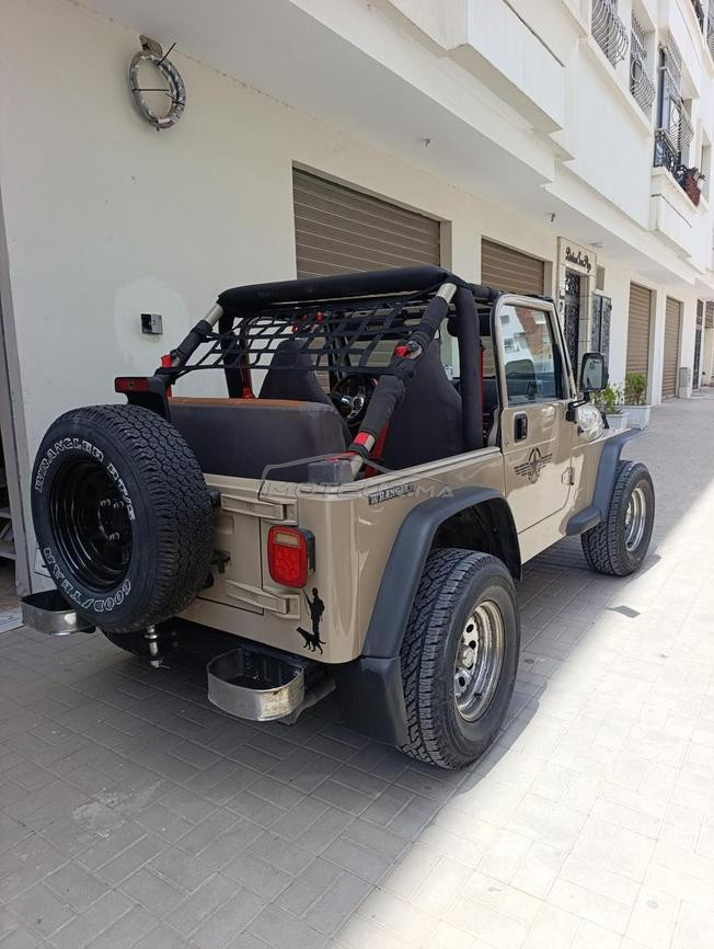jeep wrangler collection