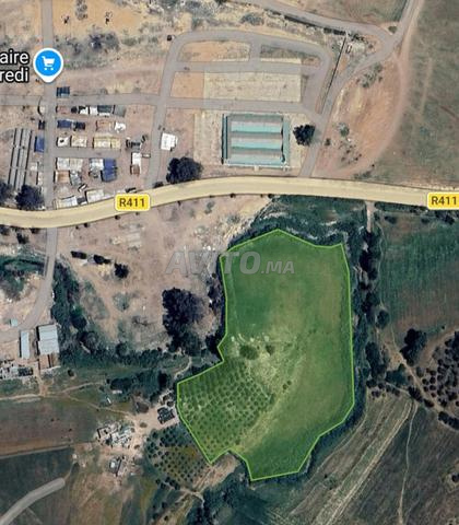 Terrain titré de 1.6 hectare à Tiflet (pour villas ou projets) - 2