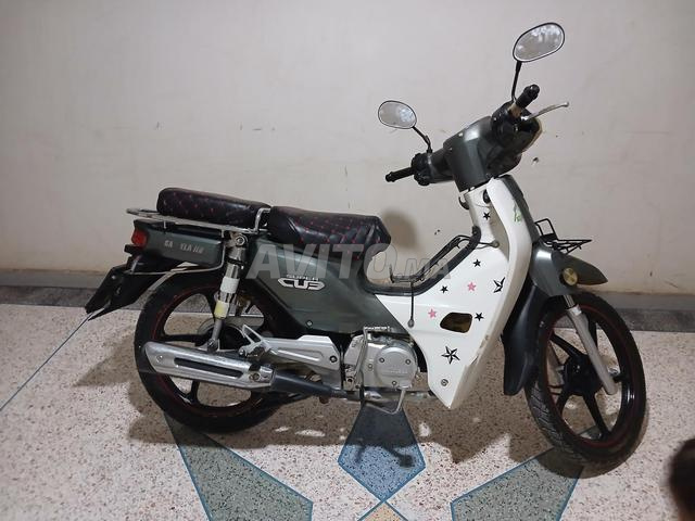 Moto gazelle - 2