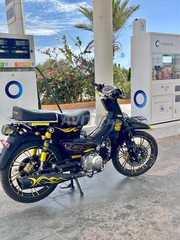 C50 modèle 2025 Vide