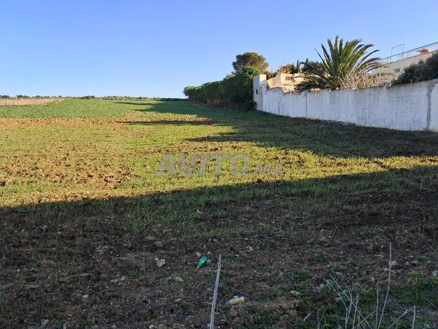 Propriété à vendre enregistrée de 7728m2 - 2