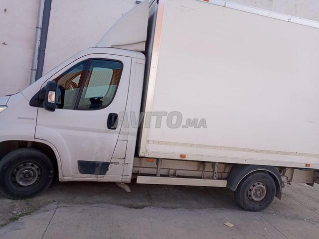 FIAT DUCATO CAISSON – (fourgon caisse) 2020 - 2