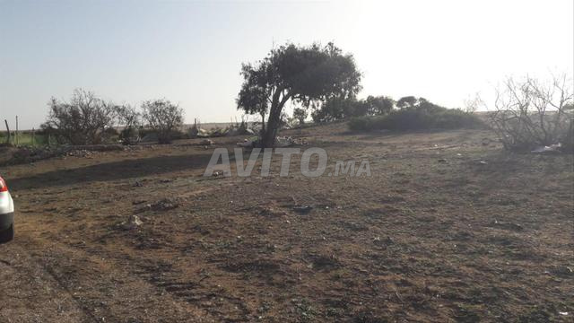 Terrain titré de 550m2 - 2