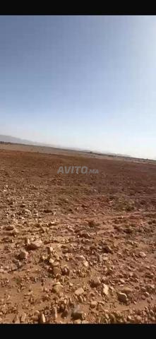 Adai dépend de Guelmim - 2