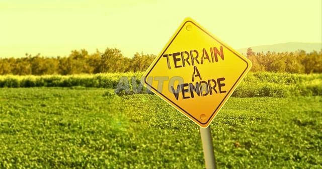 Terrains à bâtir à vendre Skhirat
