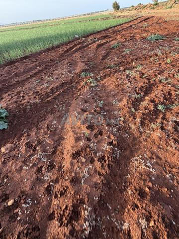 10 hectares à vendre - 2