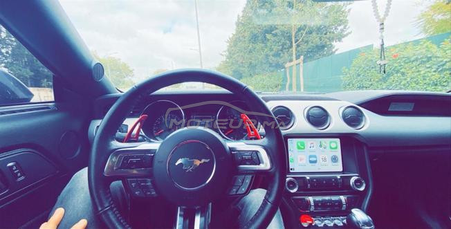 mustang ecoboust 