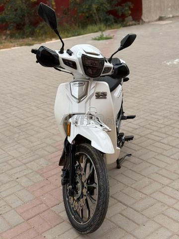 2024 Becane 33 - 2