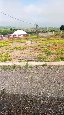 🌿 Ferme agricole productive à vendre près de Sidi Bettach - 2
