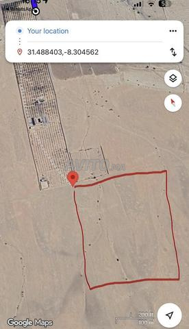 Terrain titré 7 hectare أرض للبيع تيتر - 2
