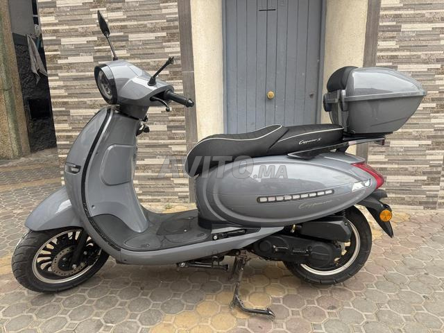 كابوتشينو S - 2