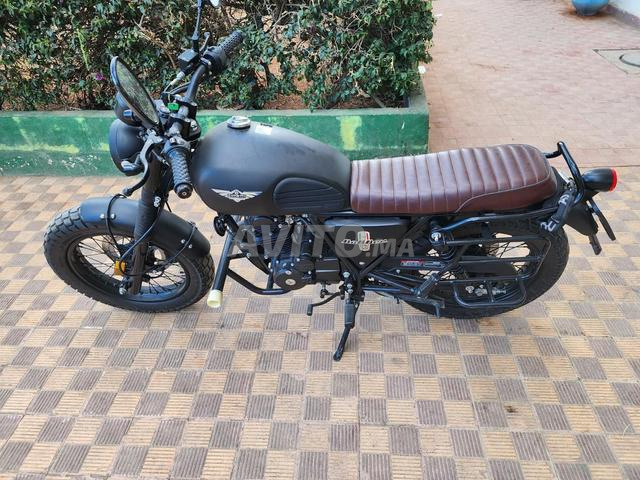 Cimatti Bobber 2024