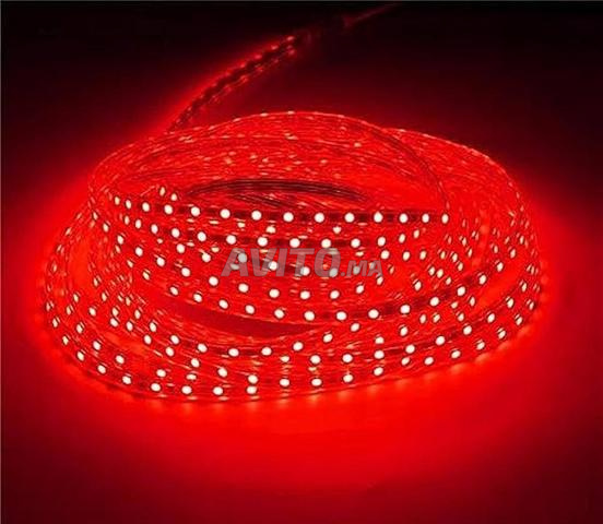 Neon LED 100 mètres