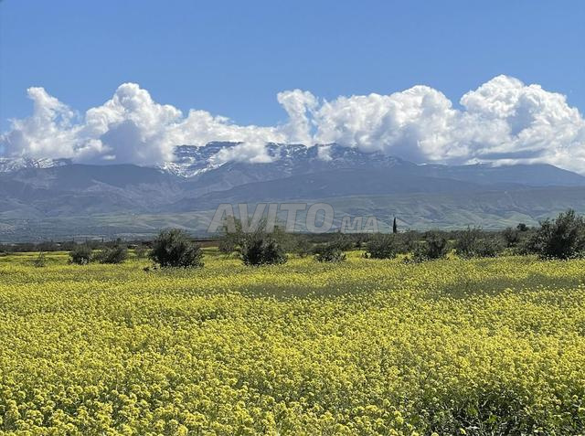 🏡 TERRAIN À TAMAZOUZT DANS LA VALLÉE D'OURIKA, MARRAKECH