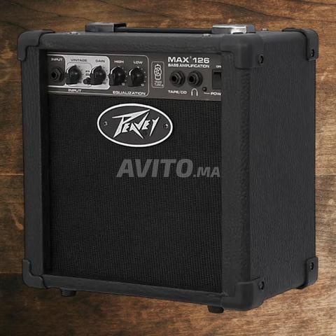 حزمة جيتار باس Jim Harley وأمبليفاير Peavey - 2