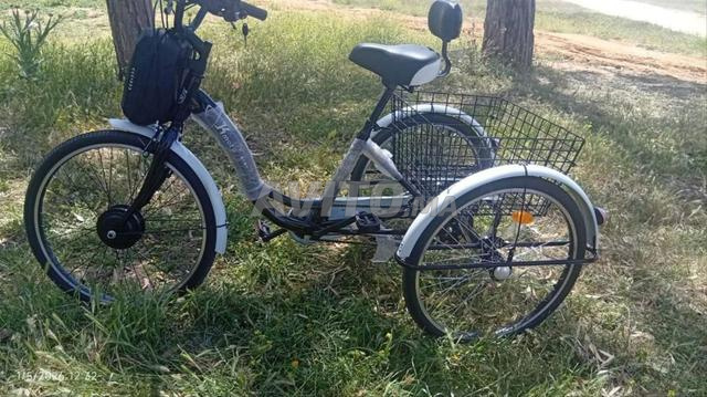 Tricycle à trois roues - 2